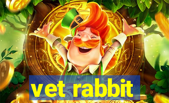 vet rabbit